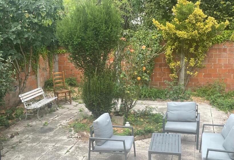 膳宿费 Lady Cosmopolite