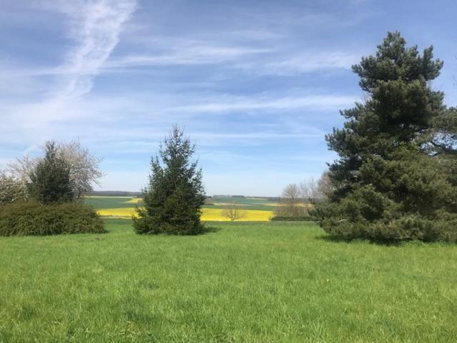 Пансион Le Saint Leonard