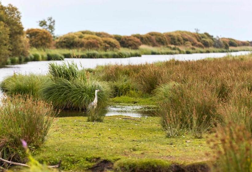 بنسيون Logement Cosy Avec Piscine Et Jacuzzi Privatifs 4 étoiles