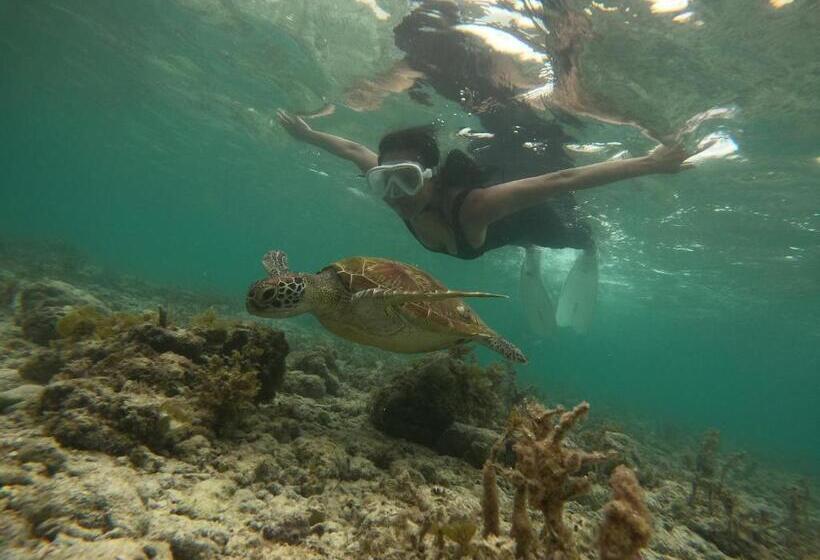 پانسیون Moalboal Indino S Guesthouse Sardines Run And Sea Turtle 1 Minute Walking Distance