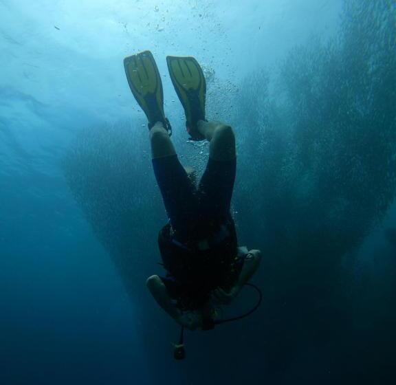 پانسیون Moalboal Indino S Guesthouse Sardines Run And Sea Turtle 1 Minute Walking Distance