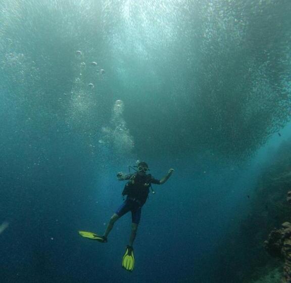 پانسیون Moalboal Indino S Guesthouse Sardines Run And Sea Turtle 1 Minute Walking Distance