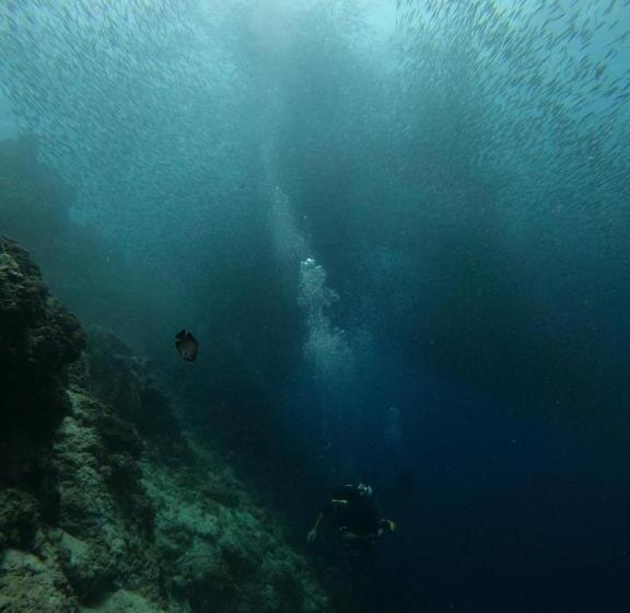 پانسیون Moalboal Indino S Guesthouse Sardines Run And Sea Turtle 1 Minute Walking Distance