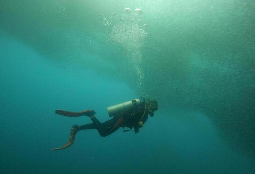 پانسیون Moalboal Indino S Guesthouse Sardines Run And Sea Turtle 1 Minute Walking Distance