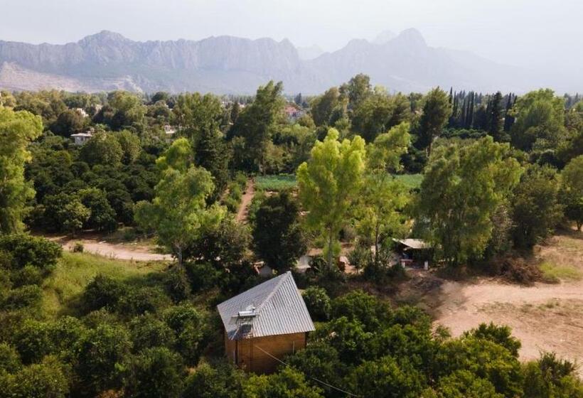 펜션 Peaceful Bungalow In Nature W Garden In Antalya