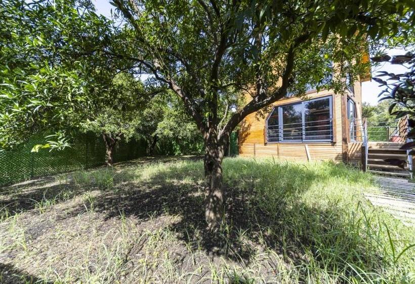 펜션 Peaceful Bungalow In Nature W Garden In Antalya