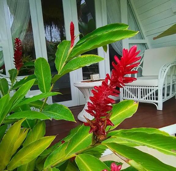 פנסיון Piramida S White Villa S Bali