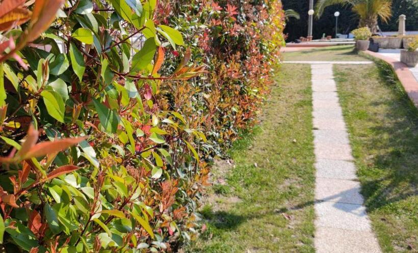 ペンション Rosi Room