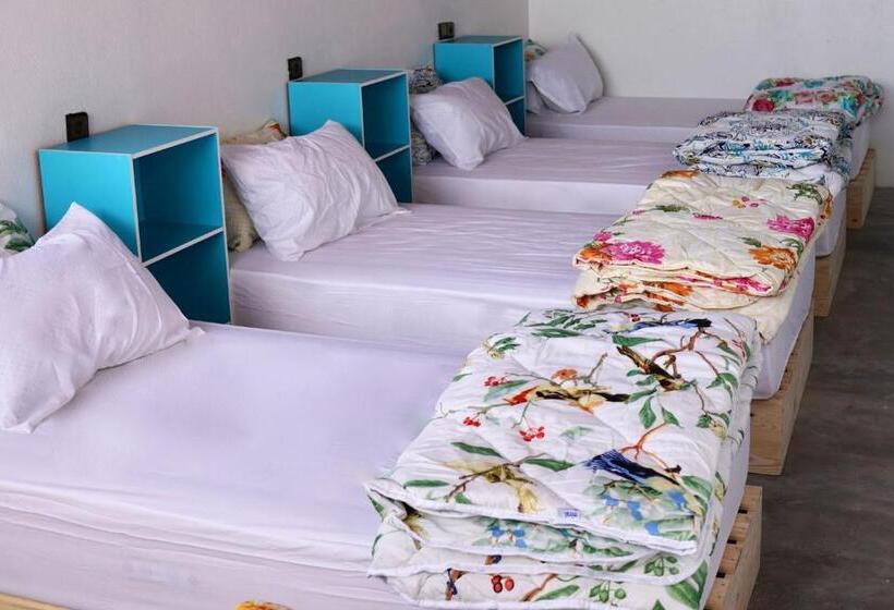 پانسیون Surf House Desert Point