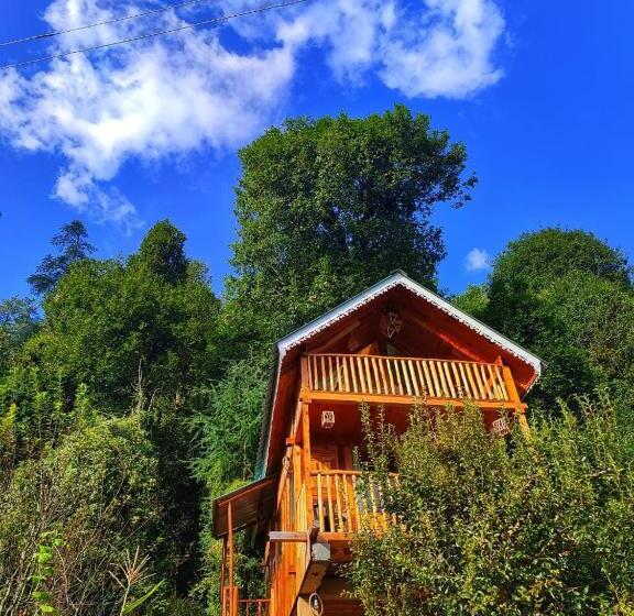 膳宿费 The Tree Top Treehouse Jibhi