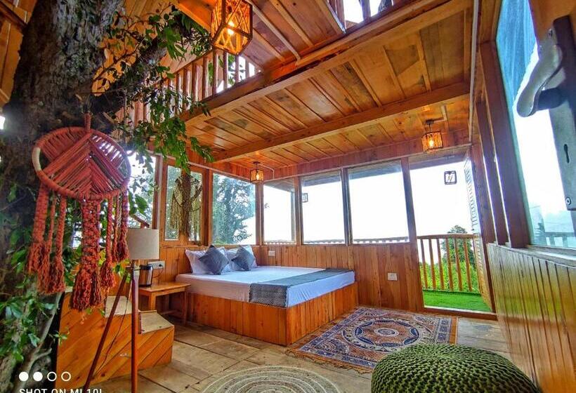 膳宿费 The Tree Top Treehouse Jibhi