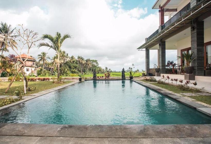 פנסיון Villa Popolan And Guest House