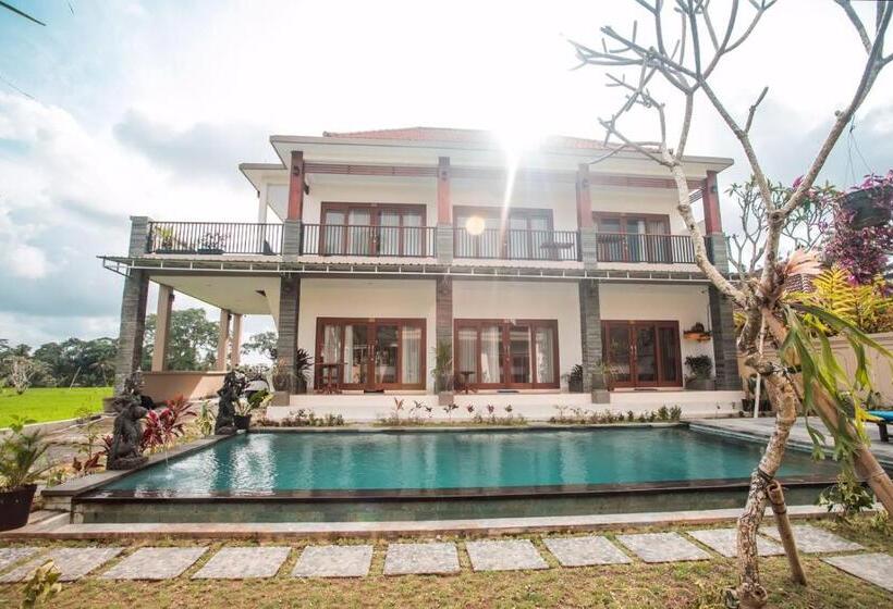 פנסיון Villa Popolan And Guest House