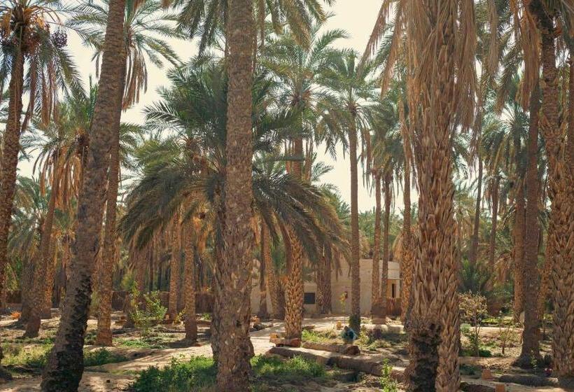 פנסיון Villa Taouzert