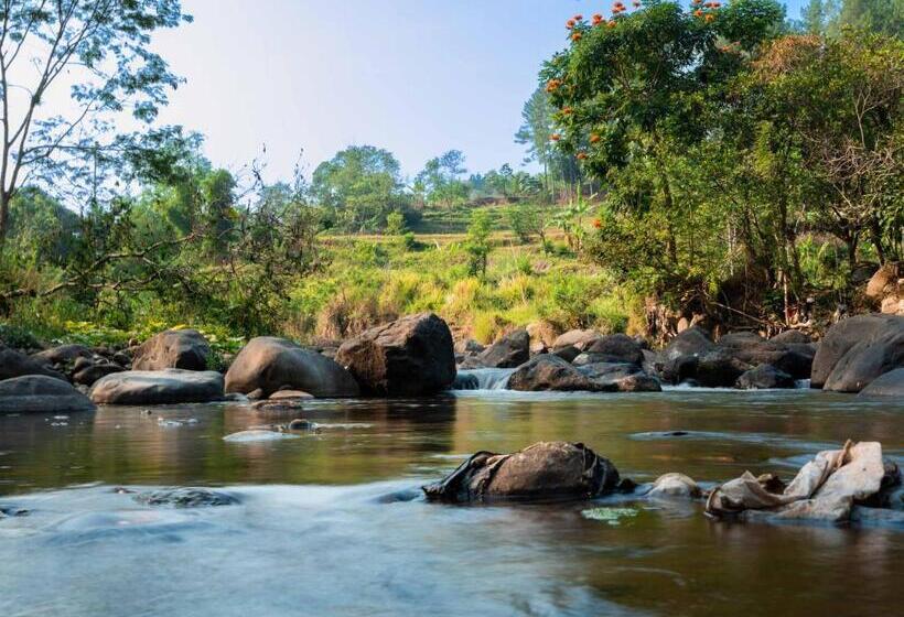 منتجع Bobocabin The Tavia, Puncak