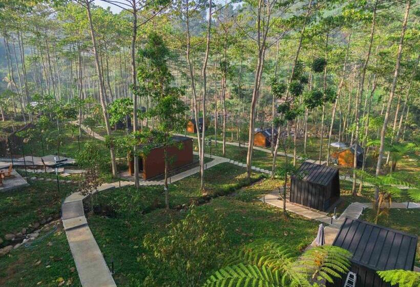 منتجع Bobocabin The Tavia, Puncak