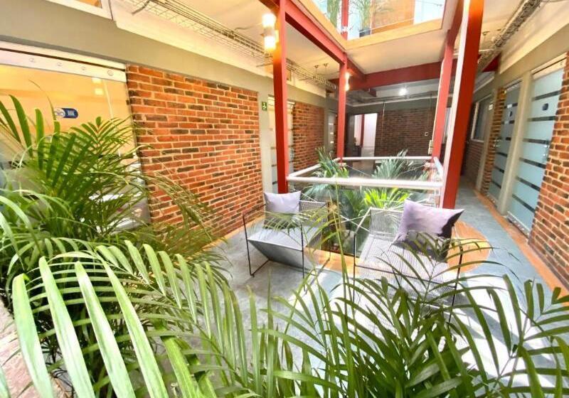 Roomies Hostel Reforma El ángel