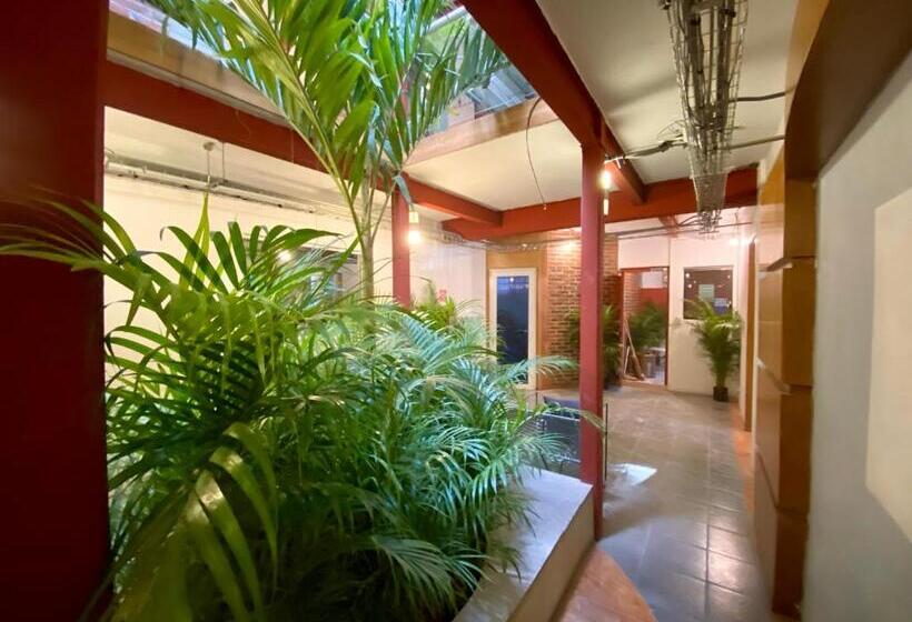 Roomies Hostel Reforma El ángel