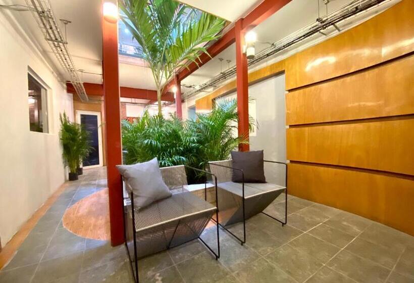 Roomies Hostel Reforma El ángel