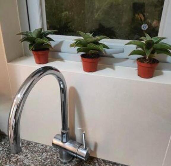 The Verdin At Maple Grove