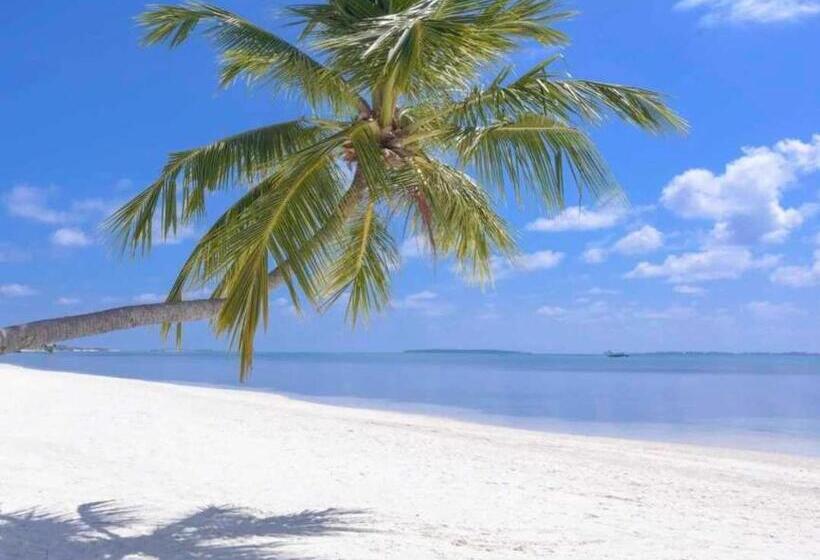 Bella S Bed & Breakfast