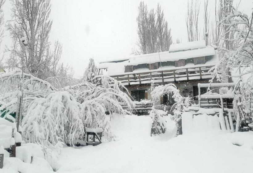 فندق صغير Hostal Crisol