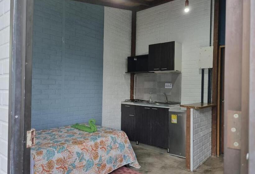 Общежитие Posada Miss Anibel