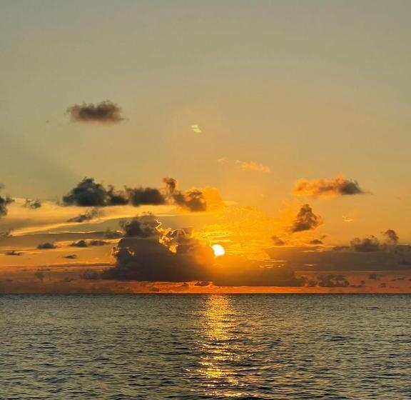 Общежитие Posada Miss Anibel