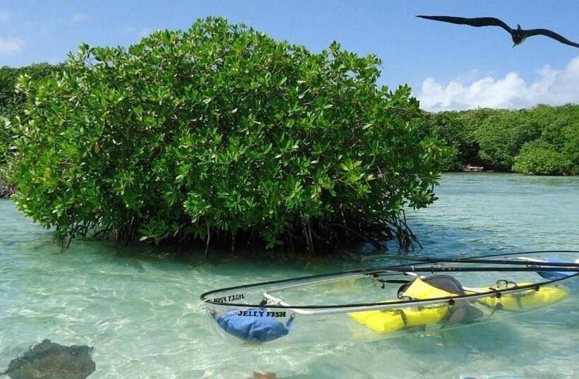 Общежитие Posada Miss Anibel