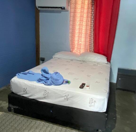 هاستل Posada Miss Anibel