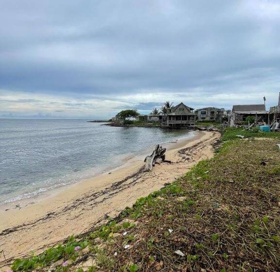 هاستل Posada Miss Anibel