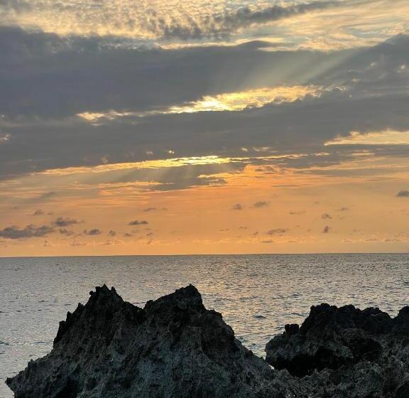 Общежитие Posada Miss Anibel