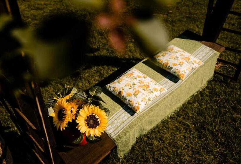 Общежитие Pousada Morada Dos Anjos