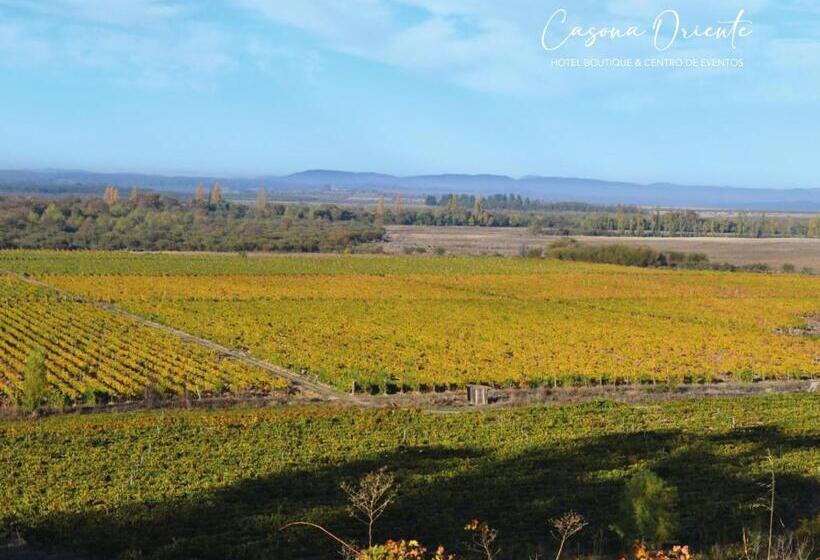 Bed and Breakfast Boutique Casona Oriente