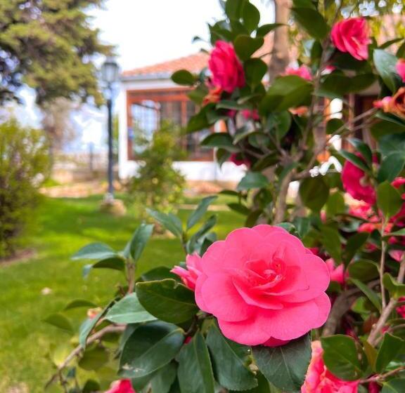 Bed and Breakfast Boutique Casona Oriente