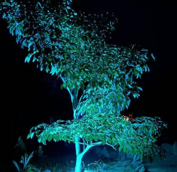 مبيت وإفطار Cabañas Hunab Ku 21