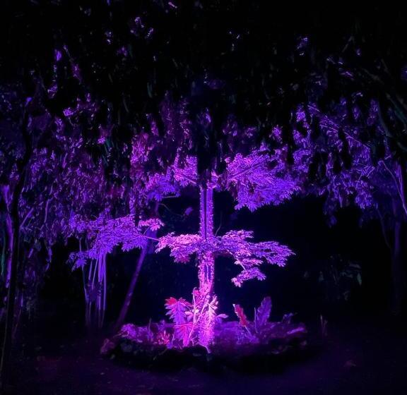 مبيت وإفطار Cabañas Hunab Ku 21