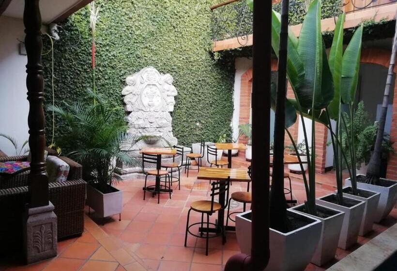 住宿加早餐 Casa Carambolo