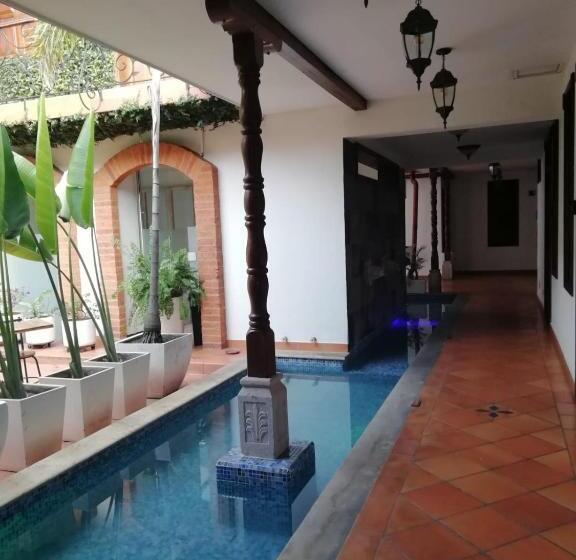 住宿加早餐 Casa Carambolo