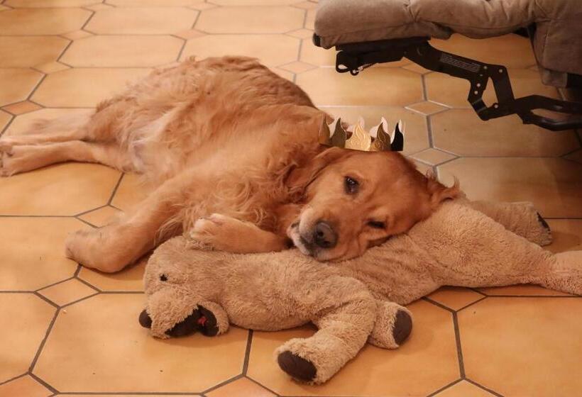 민박 Chambre D Hôte Fleurie