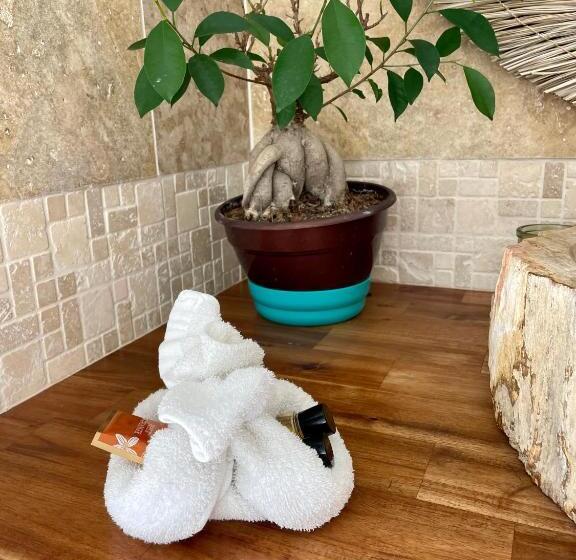 Bed and Breakfast Chambre D Hôtes La Mandala