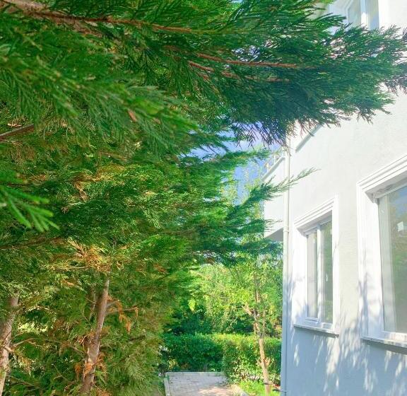 住宿加早餐  Nur And Yusuf S