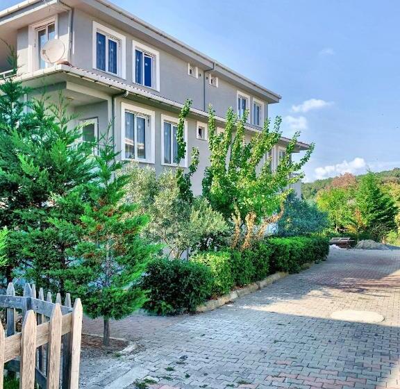 住宿加早餐  Nur And Yusuf S