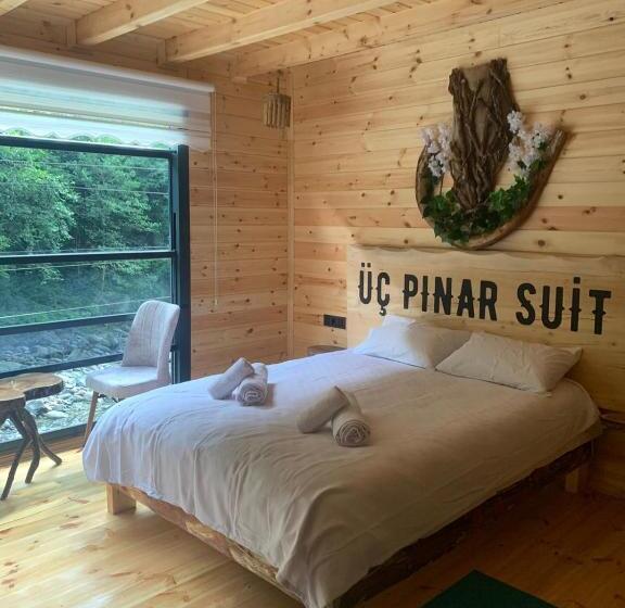 住宿加早餐  üç Pınar Cafe & Suit Bungalow