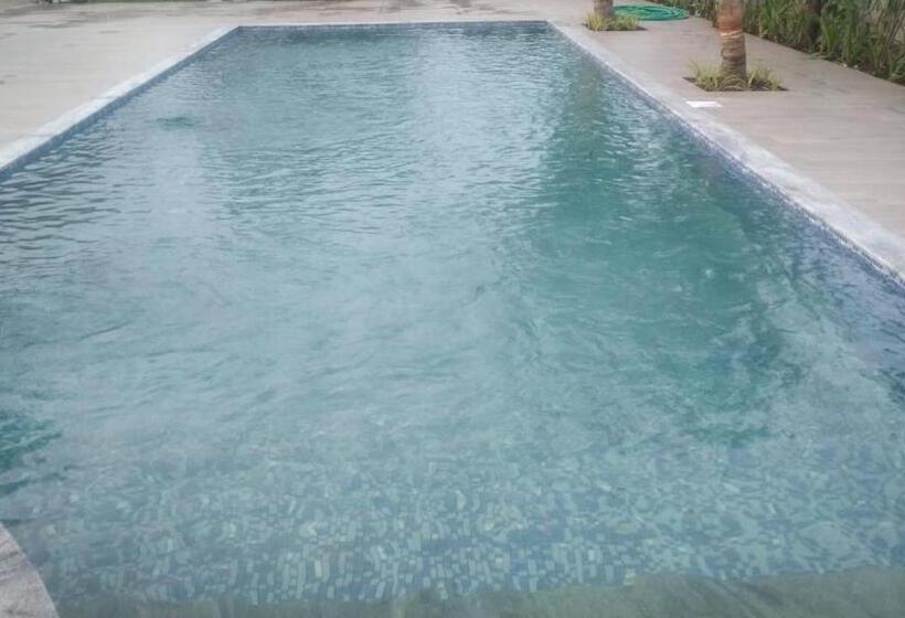 Bed and Breakfast Seagull S Nest Beach House   Unit Of Pro