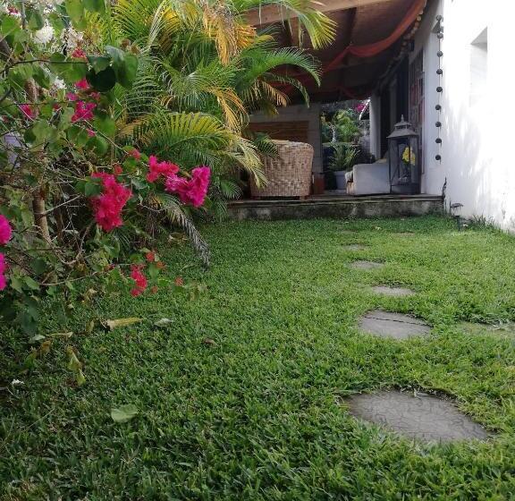 Bed and Breakfast Villa Parenthèse Zen Réunion