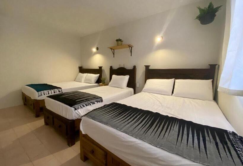 Отель Casa Venus