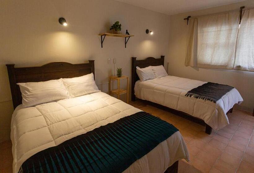 Отель Casa Venus