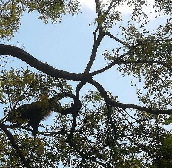 فندق Hacienda Angeles