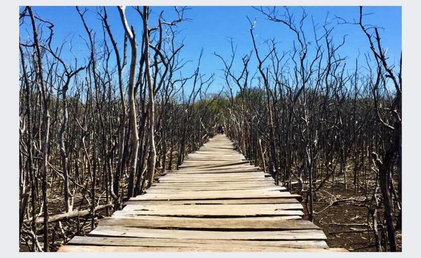 فندق Hacienda Angeles